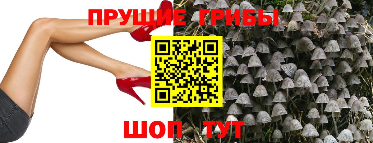 Кызыл  Псилоцибиновые грибы мухоморы  Вход с VPN 