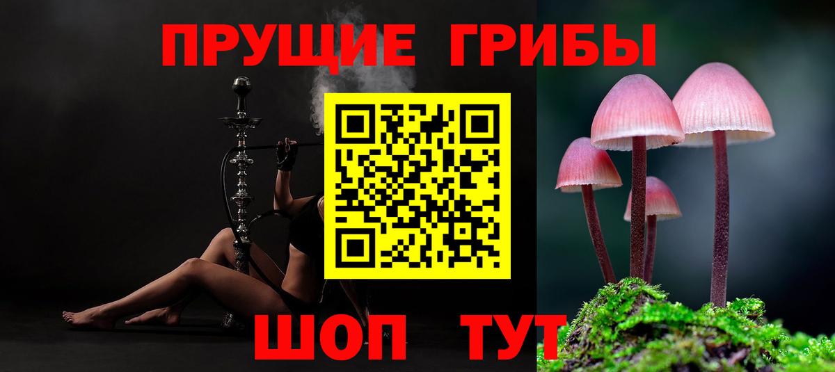 Бошки Шишки  ГАШИШ  Вход с VPN  Кызыл  COCAIN  Мефедрон кристаллы  LSD-25  Меф МЯУ МЯУ  ЭКСТАЗИ 